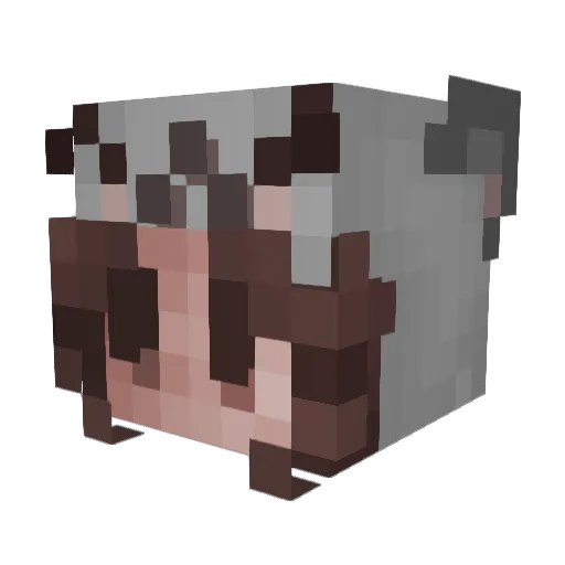 Toxicspike2705 Minecraft avatar head, 3D render