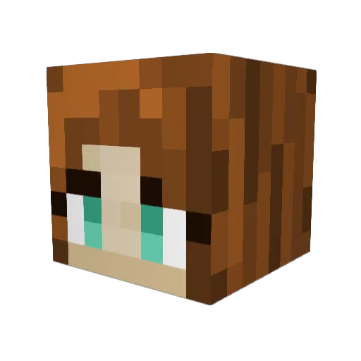 Toxieda Minecraft avatar head, 3D render