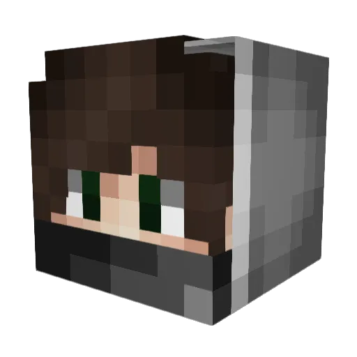 Toxifys Minecraft avatar head, 3D render