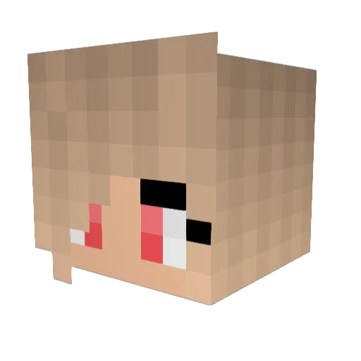 ToxiicVane Minecraft avatar head, 3D render