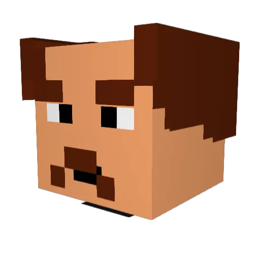 ToxiicWaffle Minecraft avatar head, 3D render
