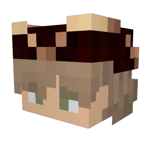 Toxiiccc Minecraft avatar head, 3D render