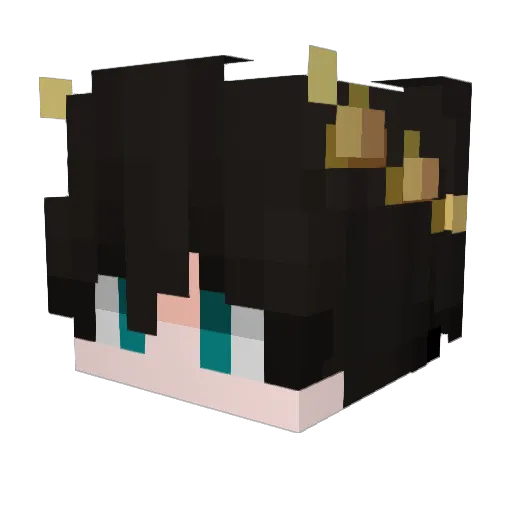 ToxikFlame11 Minecraft avatar head, 3D render