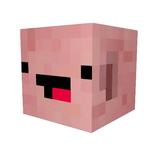 ToxikGaming10 Minecraft avatar head, 3D render