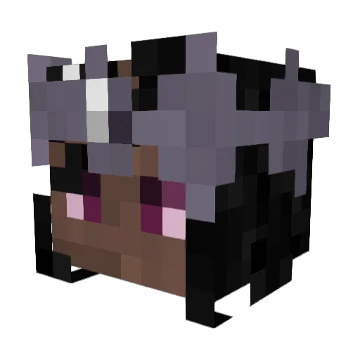 Toxikit Minecraft avatar head, 3D render