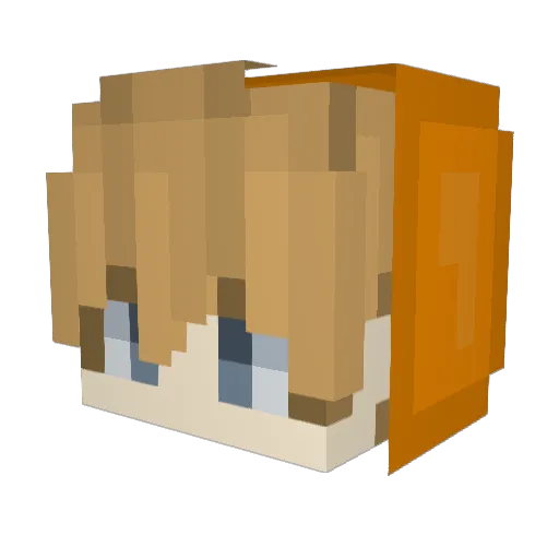 Toxikpinguin Minecraft avatar head, 3D render