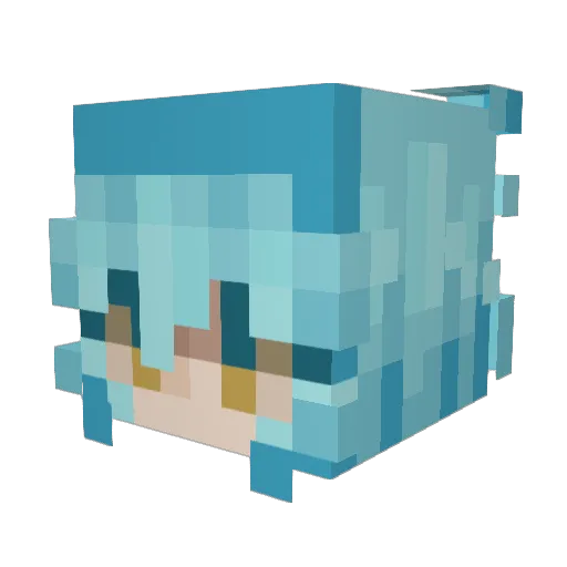 Toxinas410 Minecraft avatar head, 3D render