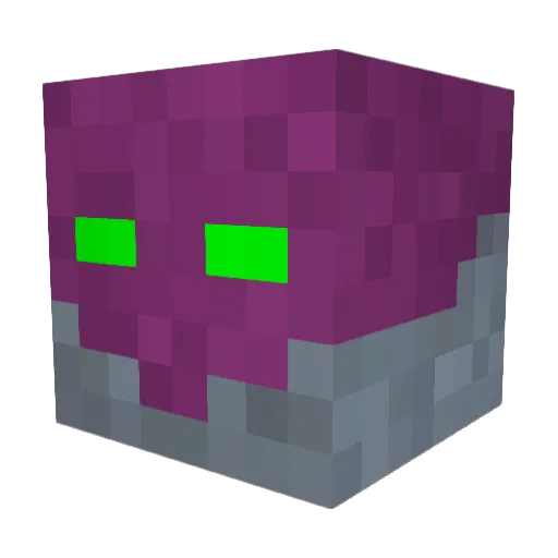 Toxisek Minecraft avatar head, 3D render