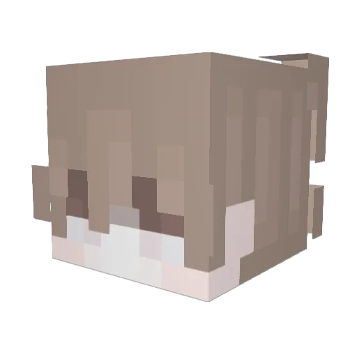 Toxo_pa_ Minecraft avatar head, 3D render