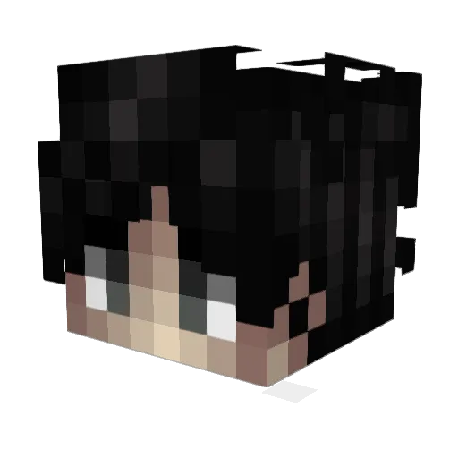 Toxoh Minecraft avatar head, 3D render