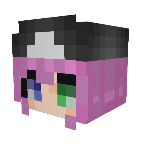 ToxxxicSupport Minecraft avatar head, 3D render