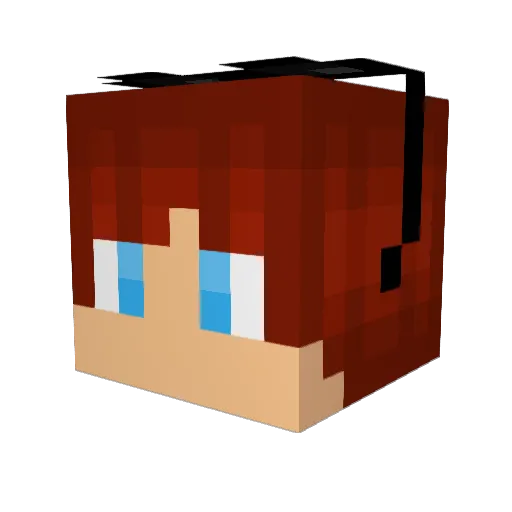 ToxyPlayZz Minecraft avatar head, 3D render