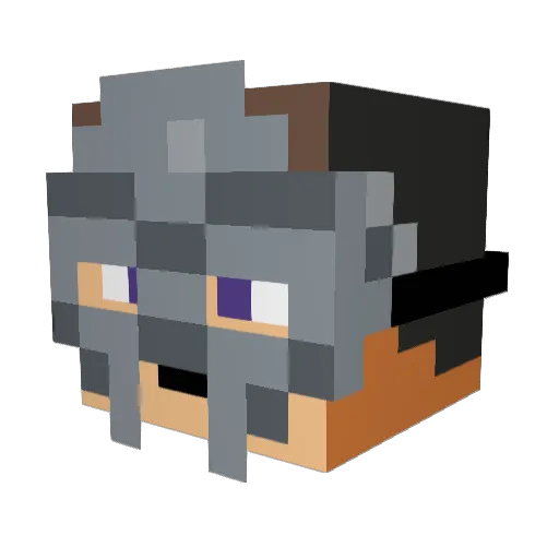 Minecraft-Avatar von Toxygen12: Kopf als 3D-Render