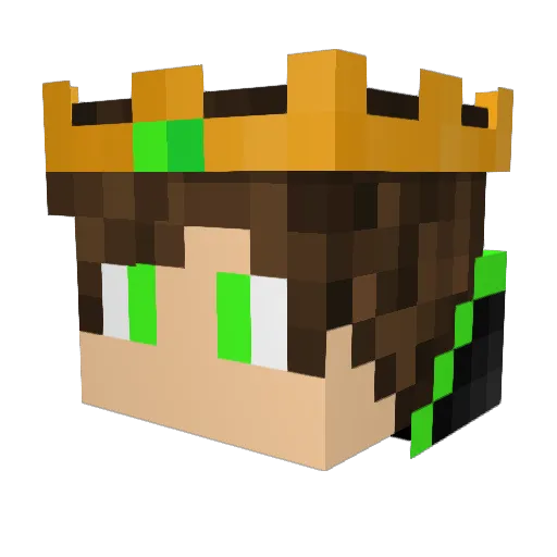 ToxyzWasTaken Minecraft avatar head, 3D render