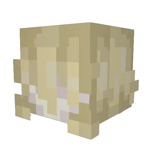 ToyaTeethPopper Minecraft avatar head, 3D render