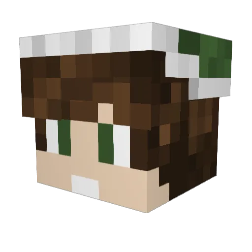 Toyah02 Minecraft avatar head, 3D render