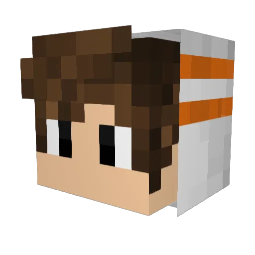 Toyger0320 Minecraft avatar head, 3D render