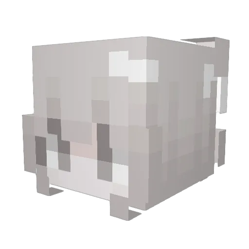 Toygers Minecraft avatar head, 3D render