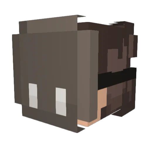 Toypuppet009 Minecraft avatar head, 3D render
