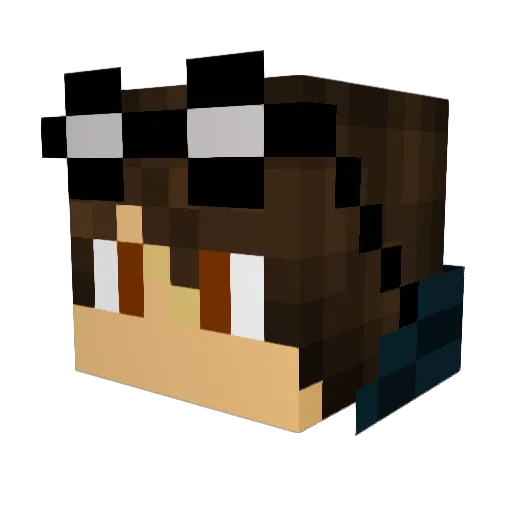 ToysforGuns Minecraft avatar head, 3D render