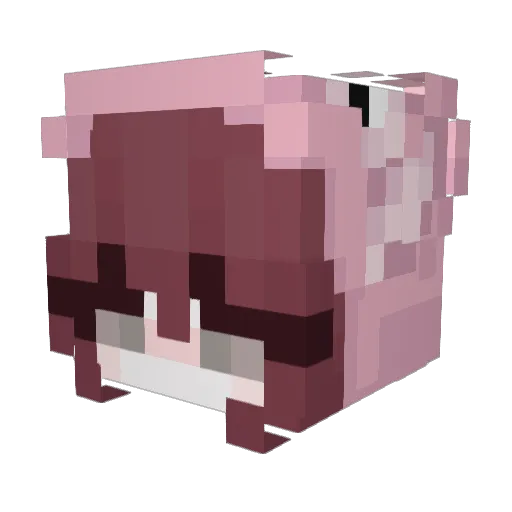 Toziaaa Minecraft avatar head, 3D render