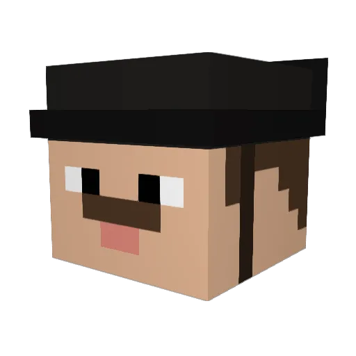 Tozinosalvaje Minecraft avatar head, 3D render