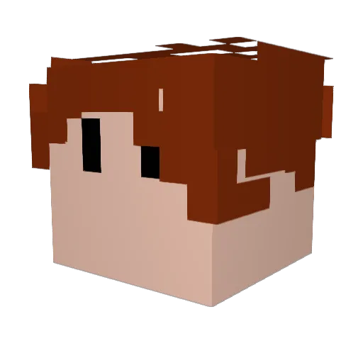 TpAK Minecraft avatar head, 3D render