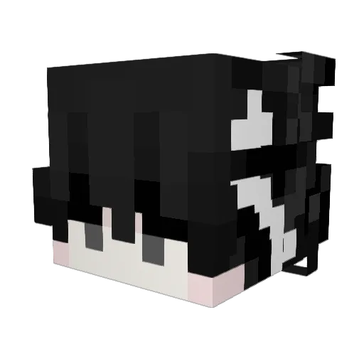 TpMHe Minecraft avatar head, 3D render