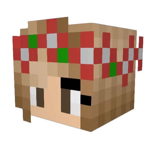Tpa4Smex Minecraft avatar head, 3D render