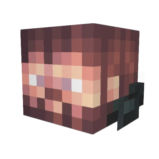 Tpm_ Minecraft avatar head, 3D render