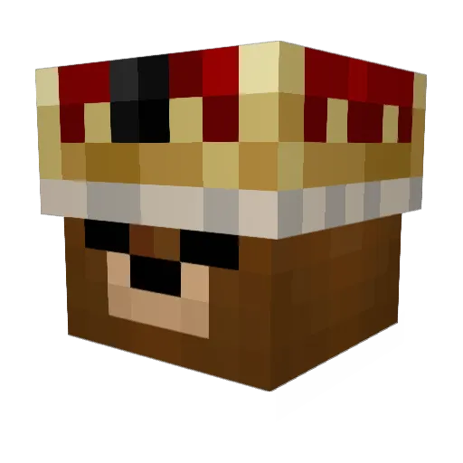 Tprme Minecraft avatar head, 3D render