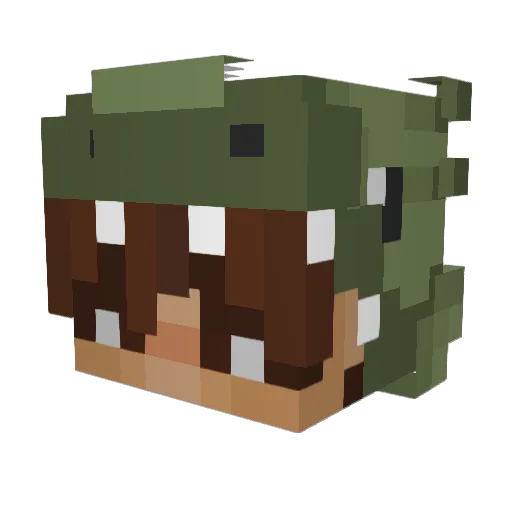 Tpy Minecraft avatar head, 3D render