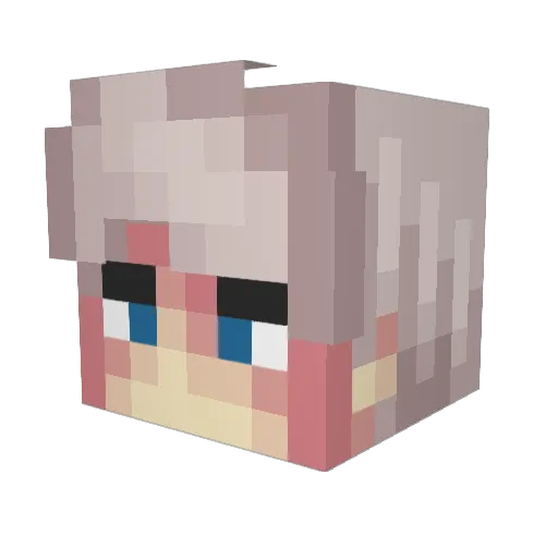 Tpyma Minecraft avatar head, 3D render