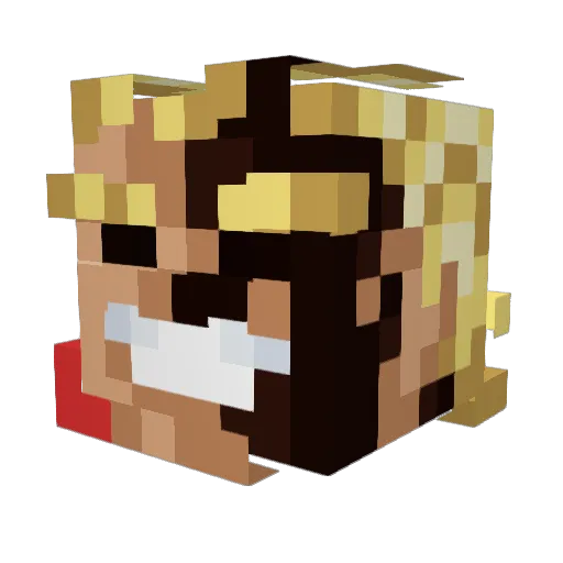 TqNSqN Minecraft avatar head, 3D render