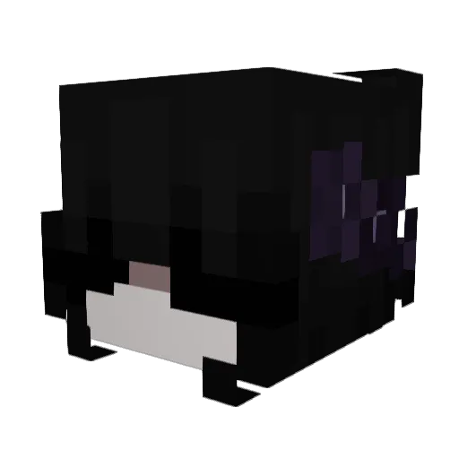 Tqk3002 Minecraft avatar head, 3D render
