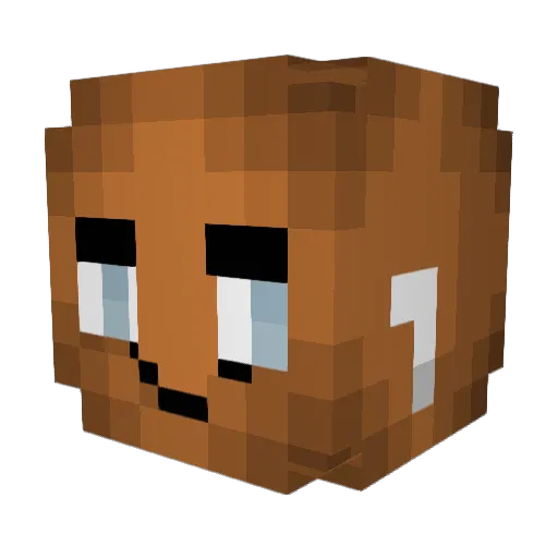 Tqmpon Minecraft avatar head, 3D render