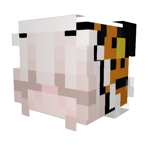 Tque_ Minecraft avatar head, 3D render