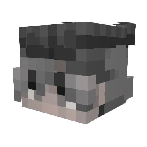 Tr0llie_ Minecraft avatar head, 3D render