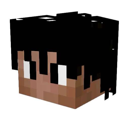 Tr0n56 Minecraft avatar head, 3D render