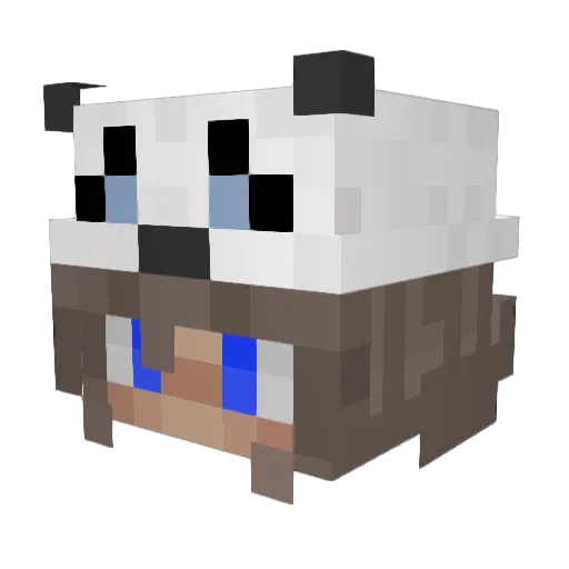 Tr0nPT Minecraft avatar head, 3D render