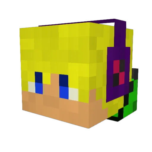 Tr0nicus Minecraft avatar head, 3D render