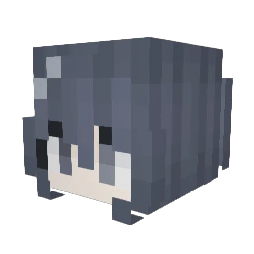 Tr1ck5h0tt3r Minecraft avatar head, 3D render