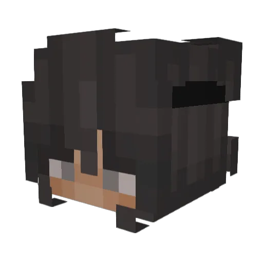 Tr1ckst3rrr Minecraft avatar head, 3D render