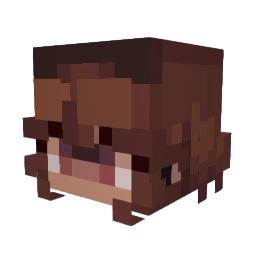 Tr1d0t Minecraft avatar head, 3D render