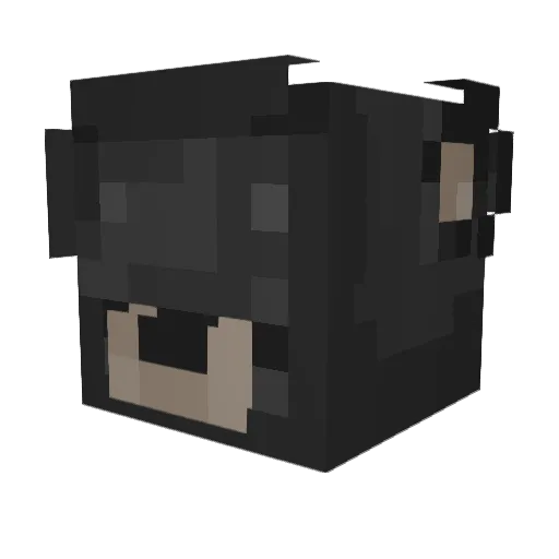 Tr1ker_ Minecraft avatar head, 3D render