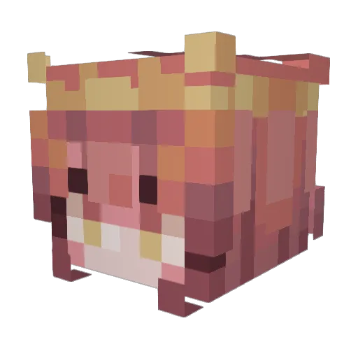 Tr1n1Ty6 Minecraft avatar head, 3D render