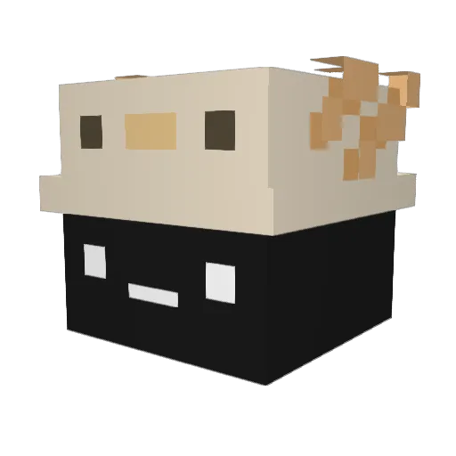 Tr1nity_ Minecraft avatar head, 3D render