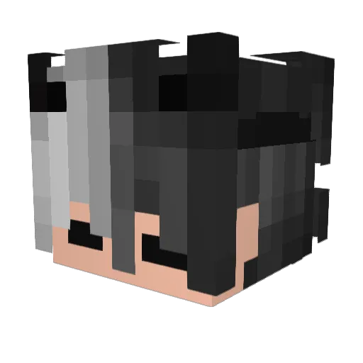 Tr1peca_ Minecraft avatar head, 3D render