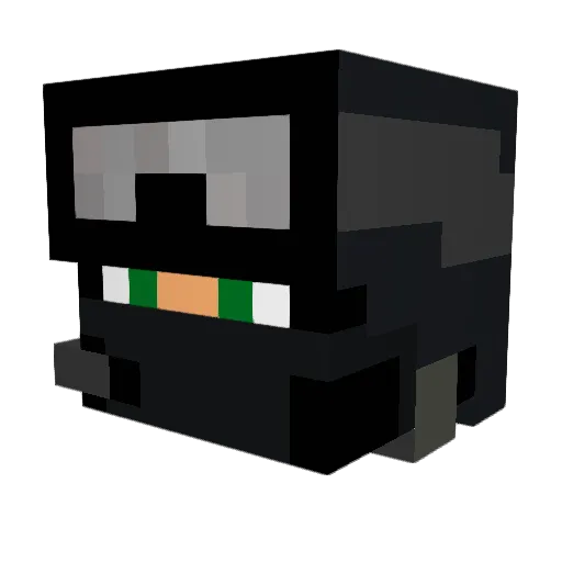 Tr1vag0 Minecraft avatar head, 3D render