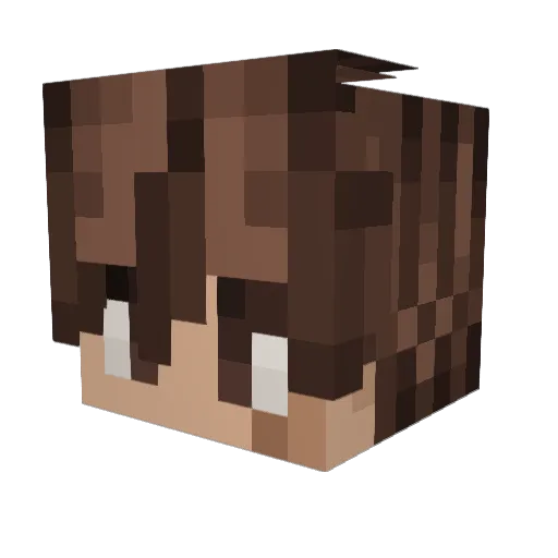 Tr3borx4 Minecraft avatar head, 3D render